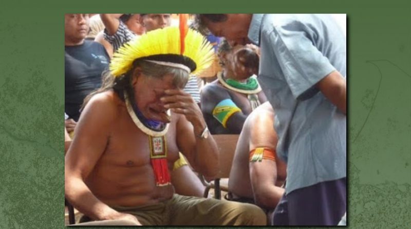 브라질 원주민들의 눈물
